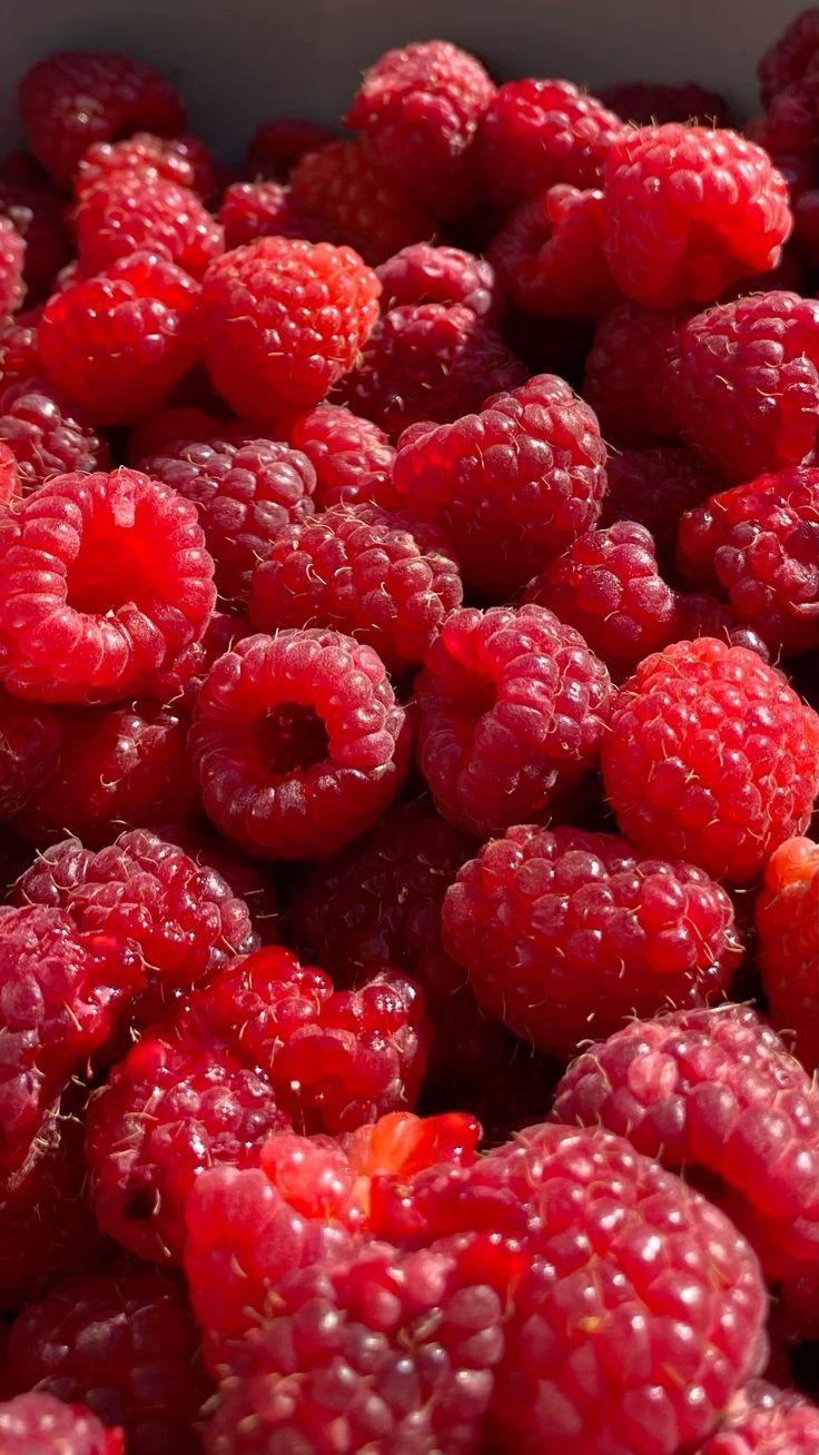 Nature's Palette: Wholesome Harvest Collection