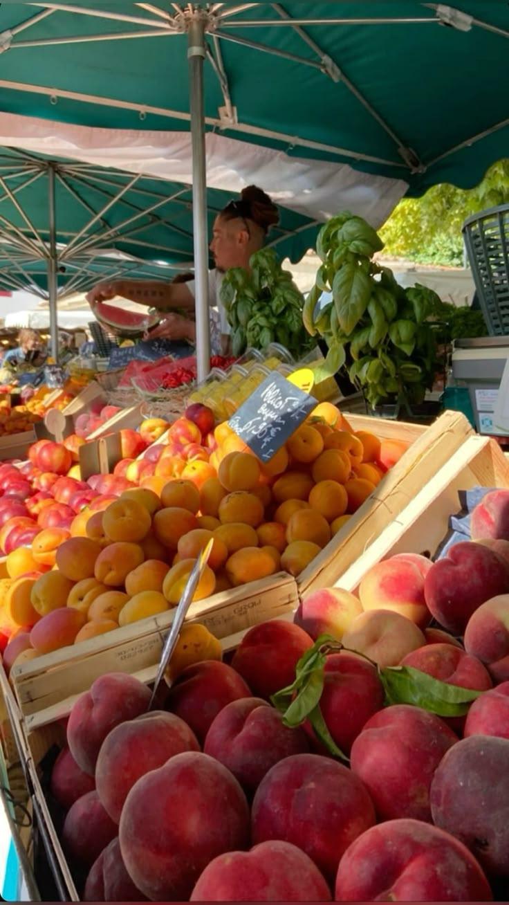 Field to Feast: Vibrant Veggie Fusion
